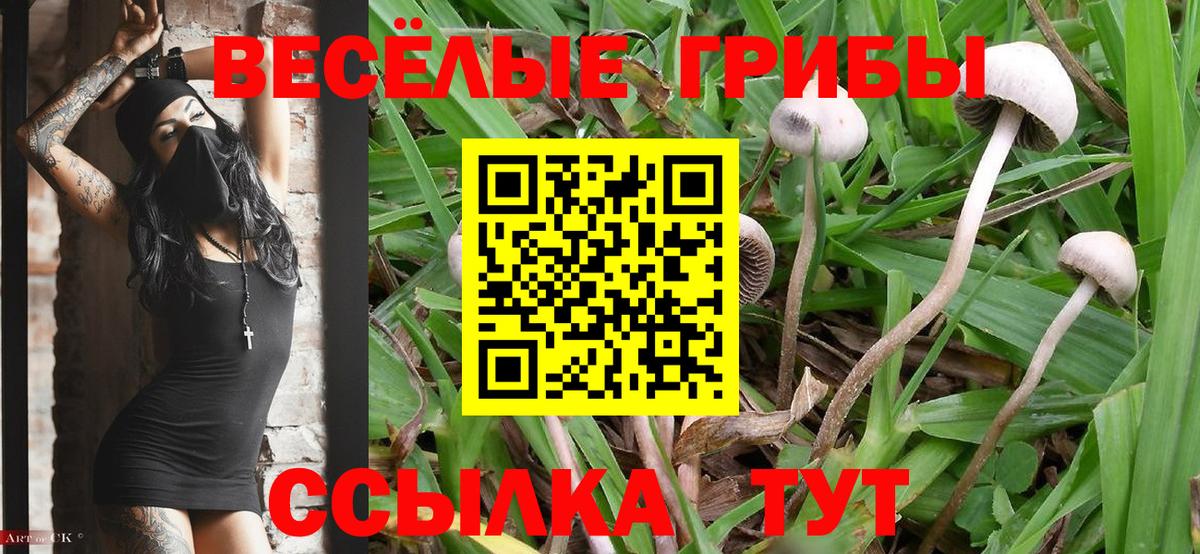 Галлюциногенные грибы Cubensis  Вход с VPN  Псилоцибиновые грибы ЛСД  Волоколамск 