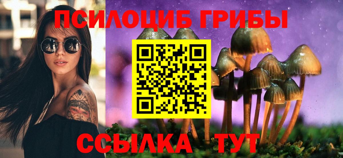 Псилоцибиновые грибы Cubensis  Волоколамск  Галлюциногенные грибы Psilocybe 