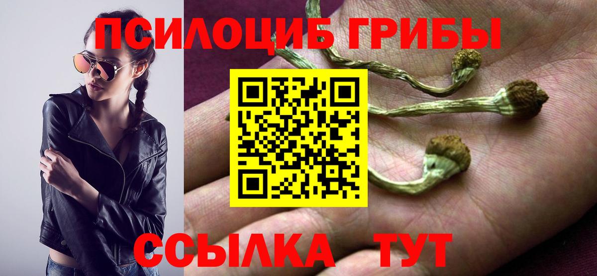 ТГК  ГАШИШ  АМФ кристаллы  ГАШ  Меф МЯУ МЯУ   А ПВП СК кристаллы  КОКАИН  Волоколамск  МДМА 